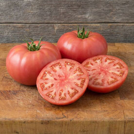 German Johnson, Tomato Seeds